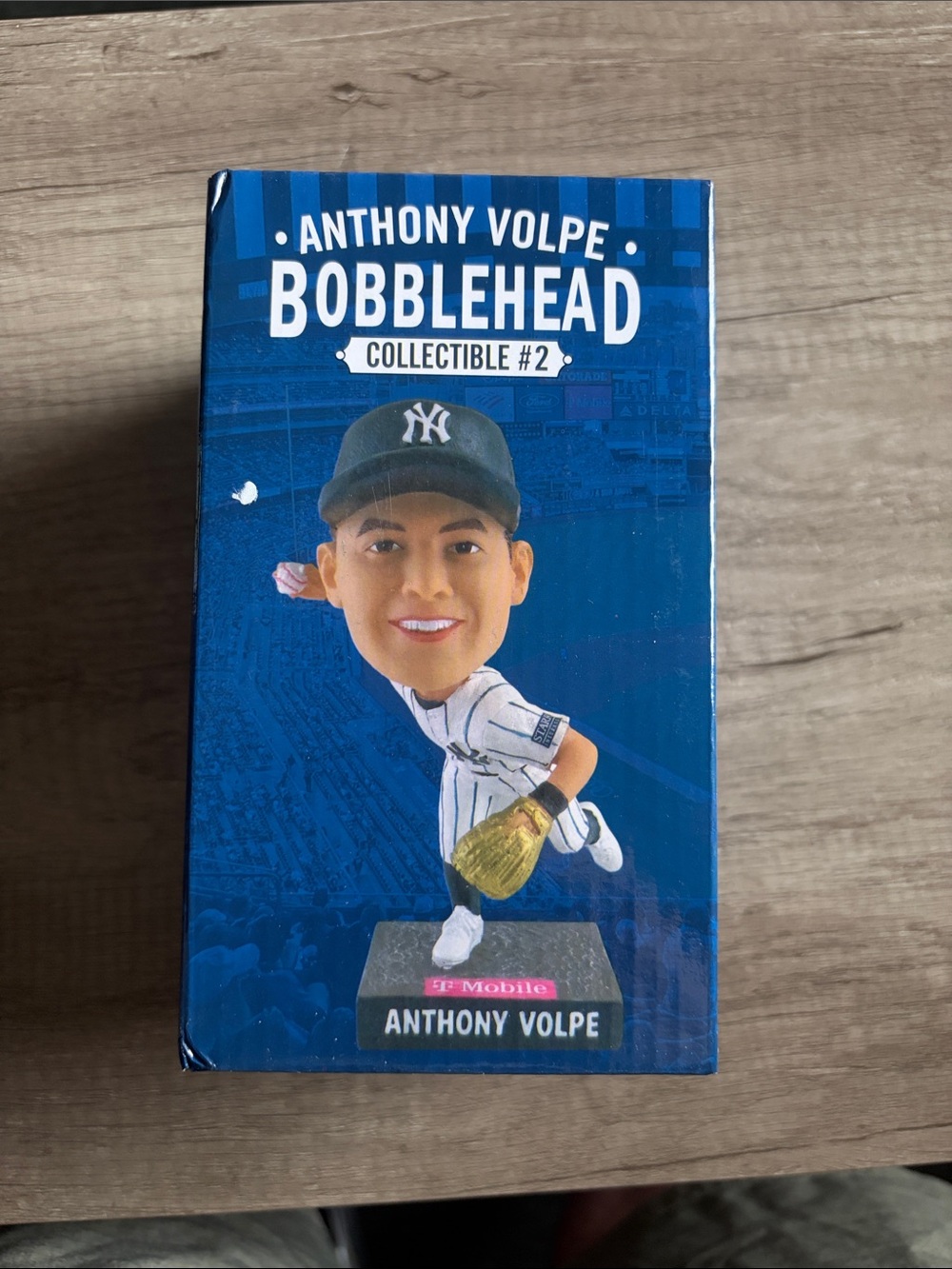 Anthony Volpe New York Yankees Bobblehead - Blue Box